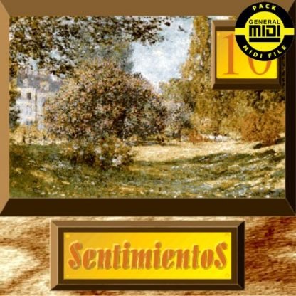 SENTIMIENTOS 10 - Pack 8 MIDI FILE - General Midi - Backing Tracks Immediate Download
